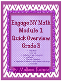 Engage NY 3rd Grade Math Module 1 Overview