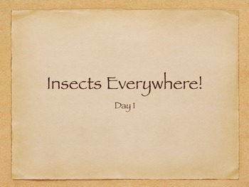 Preview of Engage NY Insects Day 1