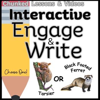 Preview of Engage & Write, Interactive Writing Lessons, Tarsier & Black Footed Ferret