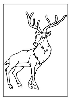 Engage Your Child's Imagination with Our Printable Deer Coloring
