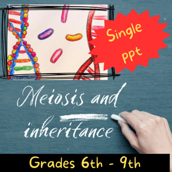 Preview of Meiosis and inheritance