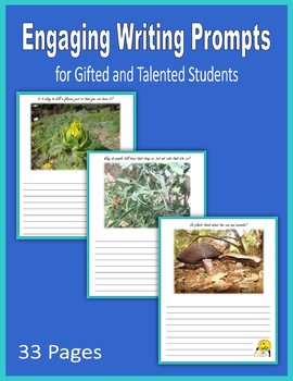 Preview of Engaging Writing Prompts for Gifted and Talented Students