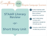 English 2 STAAR Literary Review/ Short Story Unit