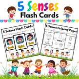English 5 Senses Flash Cards & Coloring Pages for PreK & K