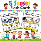 English 5 Senses Flash Cards for PreK & Kindergarten Kids 