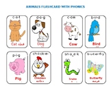 English-Arabic Animal Flashcards, multilingual classroom