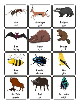 Animals English/Arabic Vocabulary Flashcards Labels Word Wall | TPT
