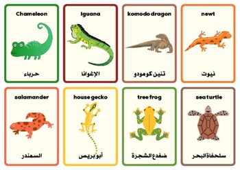 Preview of English / Arabic Language Flashcards - Animals Names Cards For School or Home