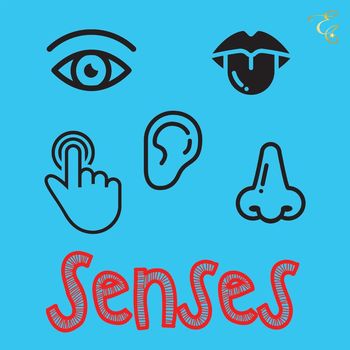 Preview of English English Senses Tag
