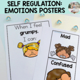 English Feelings and Emotions: Posters and Self Regulation