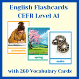 English Flashcards CEFR Level A1 | 260 Vocabulary Cards wi