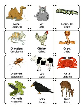 Animals English/Italian Vocabulary Flashcards Labels Word Wall