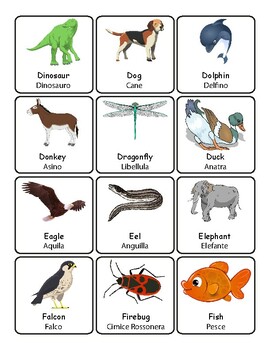 Animals English/Italian Vocabulary Flashcards Labels Word Wall