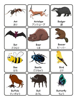 Animals English/Japanese Vocabulary Flashcards Labels Word Wall | TPT