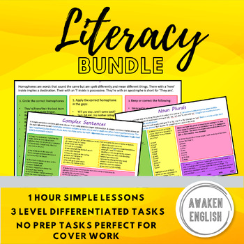 Preview of English Literacy Lessons Bundle