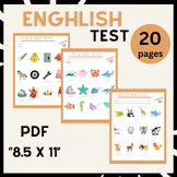 end of the year (test): Comprehensive English Proficiency 