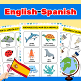 English-Spanish Language Flashcards, Beginning Picture Dic