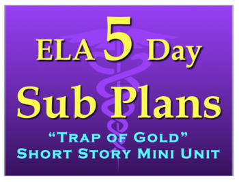 Preview of 5 Day English Sub Plan - Emergency Plans - FULL WEEK Middle/ High School English