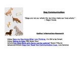 Enrichment Project-Dog Communication