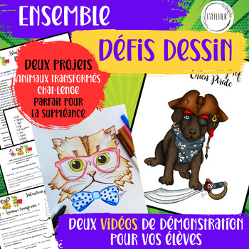 Preview of Ensemble de Défis de Dessin: Suppléance Arts plastiques, Animaux et Chat
