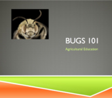Entomology Lesson: Bugs 101 PowerPoint and Guided Notes