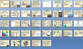 Preview of Environment Ecology Smartboard Notebook Presentation Lesson