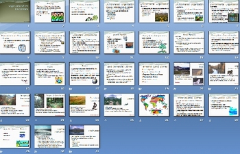 Preview of Environment Ecology Smartboard Notebook Presentation Lesson Plan