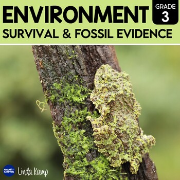 Preview of Environment, Survival & Fossil Evidence Activities Science Experiment 3rd Grade