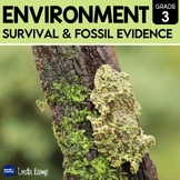 Environment, Survival & Fossil Evidence Activities Science