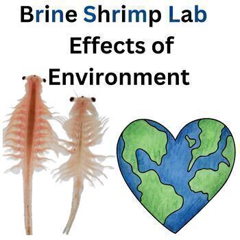 Preview of Environment The Effect of Salt on Brine Fish Hatching Inquiry Lab