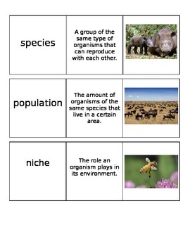 Preview of Environmental Changes Vocabulary Cards