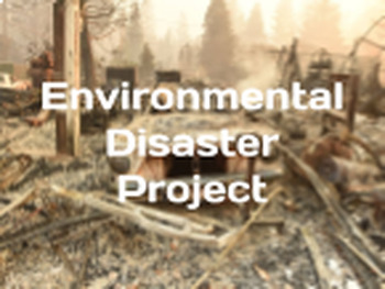 Preview of Environmental Disaster Choice Project