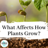 Environmental Factors Affect Plant Growth Hands-On NGSS Lab