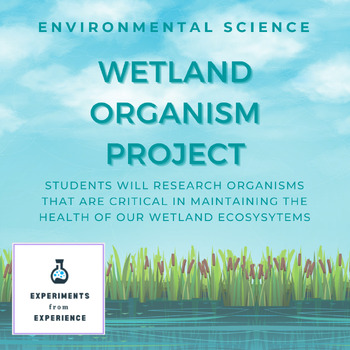 Preview of Environmental/Life Science Wetland Animal Research Project End of Year
