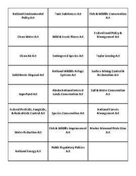 Preview of Environmental Policy Card Sort