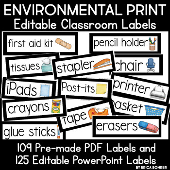 Preview of Environmental Print Classroom Labels | ESL Classroom Labels | ENL Labels
