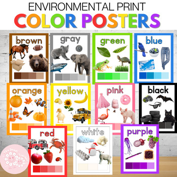 Preview of Environmental Print Color Poster with Real Nonfiction Photos