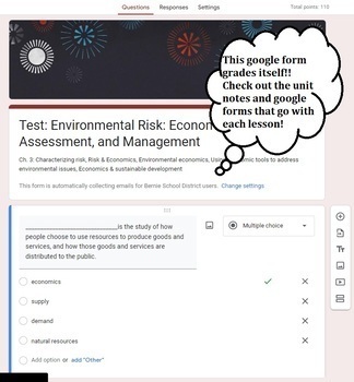 Preview of Environmental Risk| Economics, Assessment, and Management Test Google Form