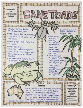 Environmental Science Cane Toads Sketch Notes by She Cartoons | TpT