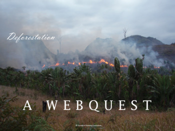 Preview of Environmental Science, Sustainability, Natural Resources: Deforestation Webquest
