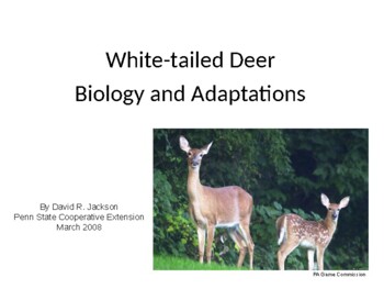 Preview of Environmental Science Whitetail Deer Biology and Adaptations