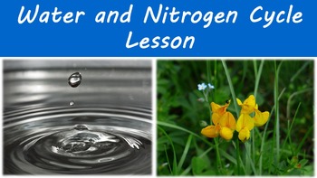 Preview of Water and Nitrogen Cycle Lesson