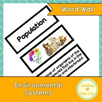 Preview of Environmental Systems Word Wall/Vocabulary Cards