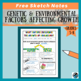Environmental and Genetic Factors Influencing Growth Notes | Free