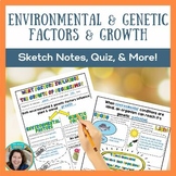 Genetic and Environmental Factors & Growth - Science Notes