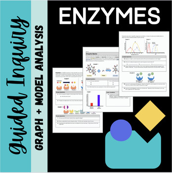 Preview of Enzyme Basics: Inquiry Activity