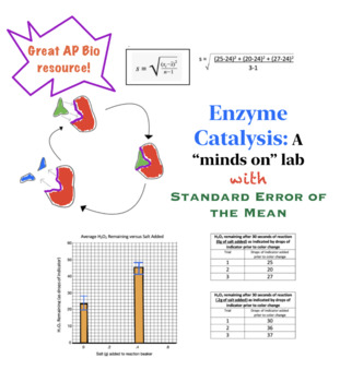 Preview of Enzyme Catalysis "Minds-on" Lab with Standard Error of the Mean Review