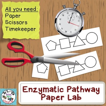 Preview of Enzyme Lab: A Paper and Scissors Group Simulation