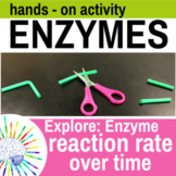 Enzyme Lab Activity: Explore Enzyme Reaction Rate Over Tim