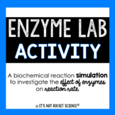 Enzyme Lab Activity Simulation